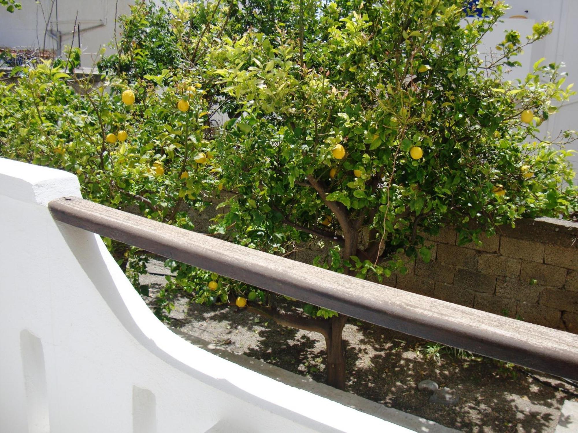 Artemis Studios Agia Roumeli Exterior photo
