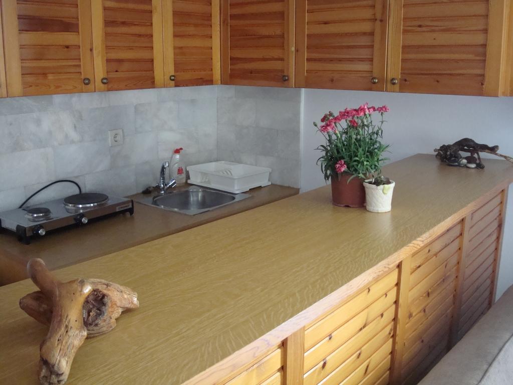 Artemis Studios Agia Roumeli Room photo