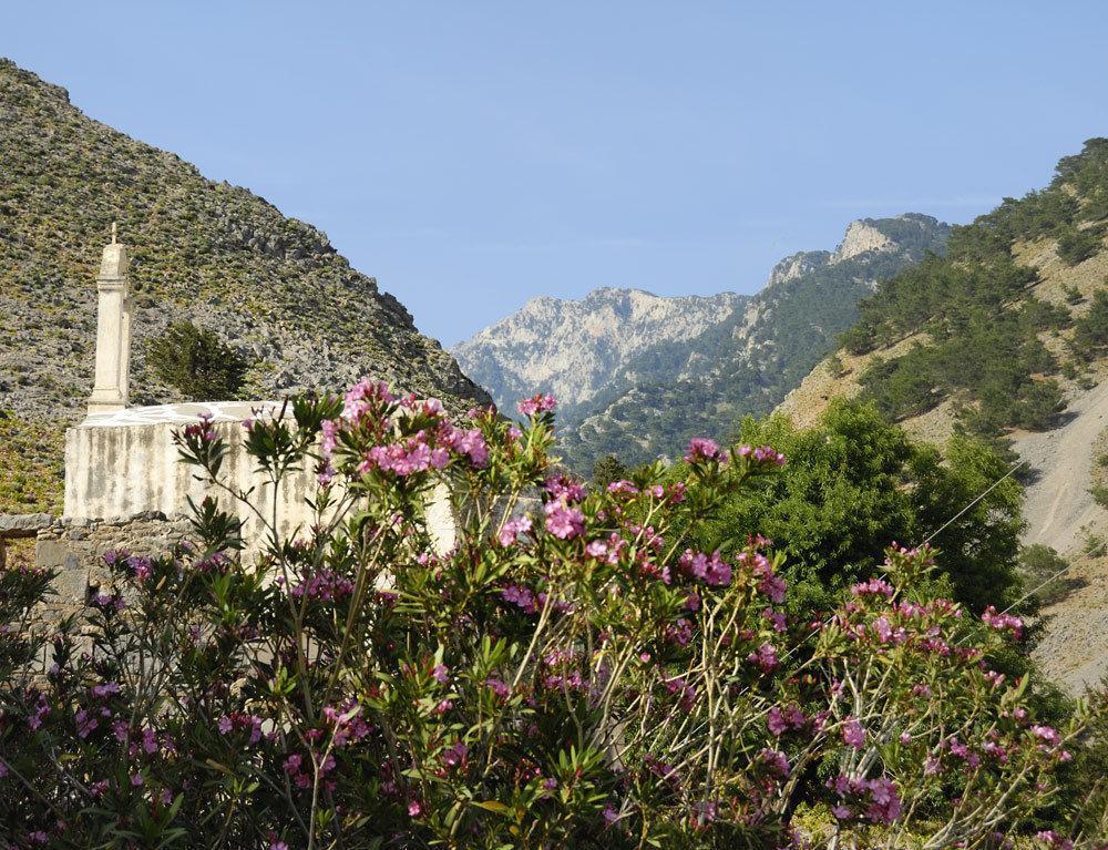 Artemis Studios Agia Roumeli Exterior photo